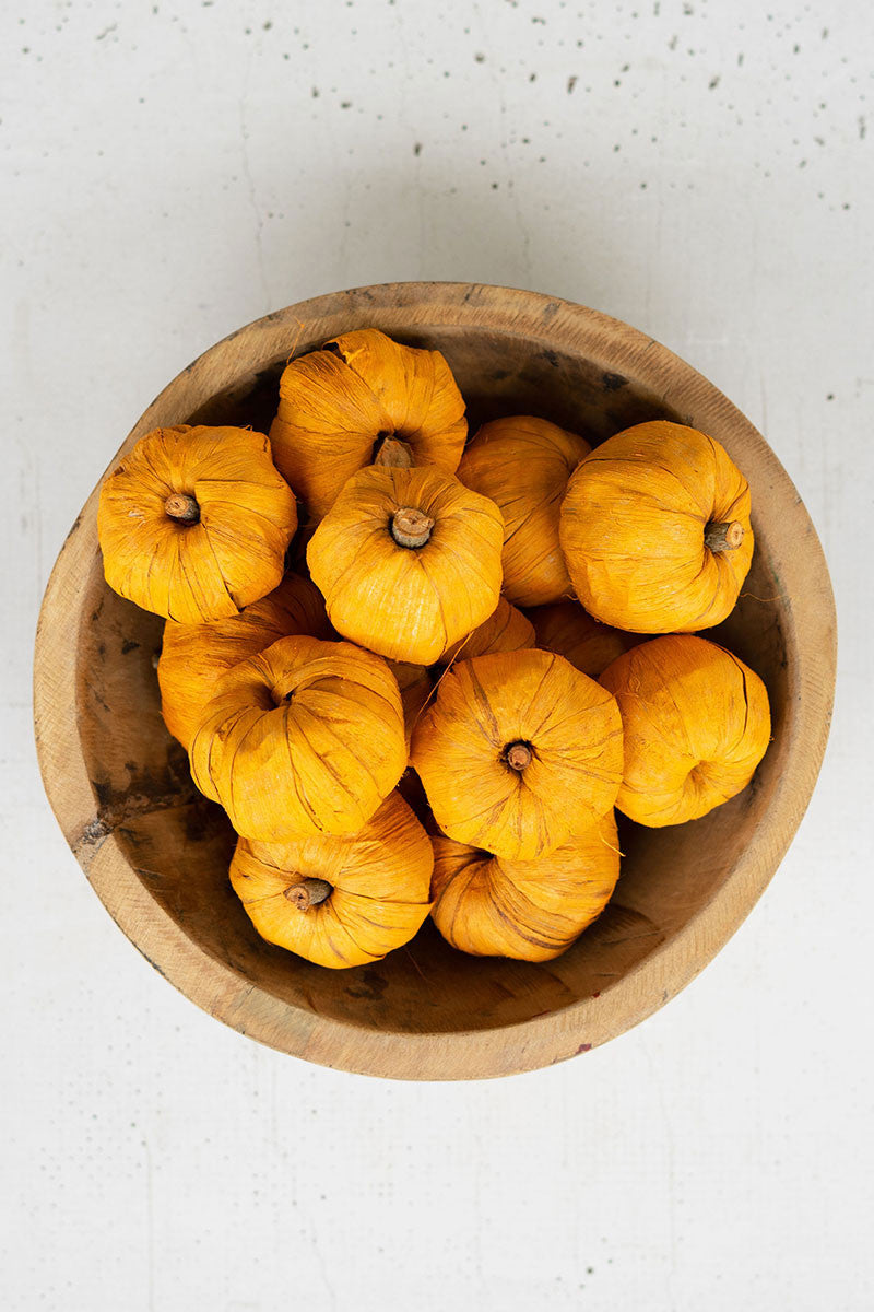 Dried Miniature Faux Pumpkin Set