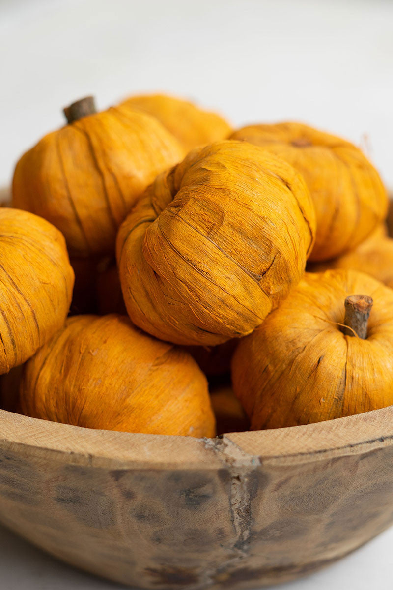 Dried Miniature Faux Pumpkin Set