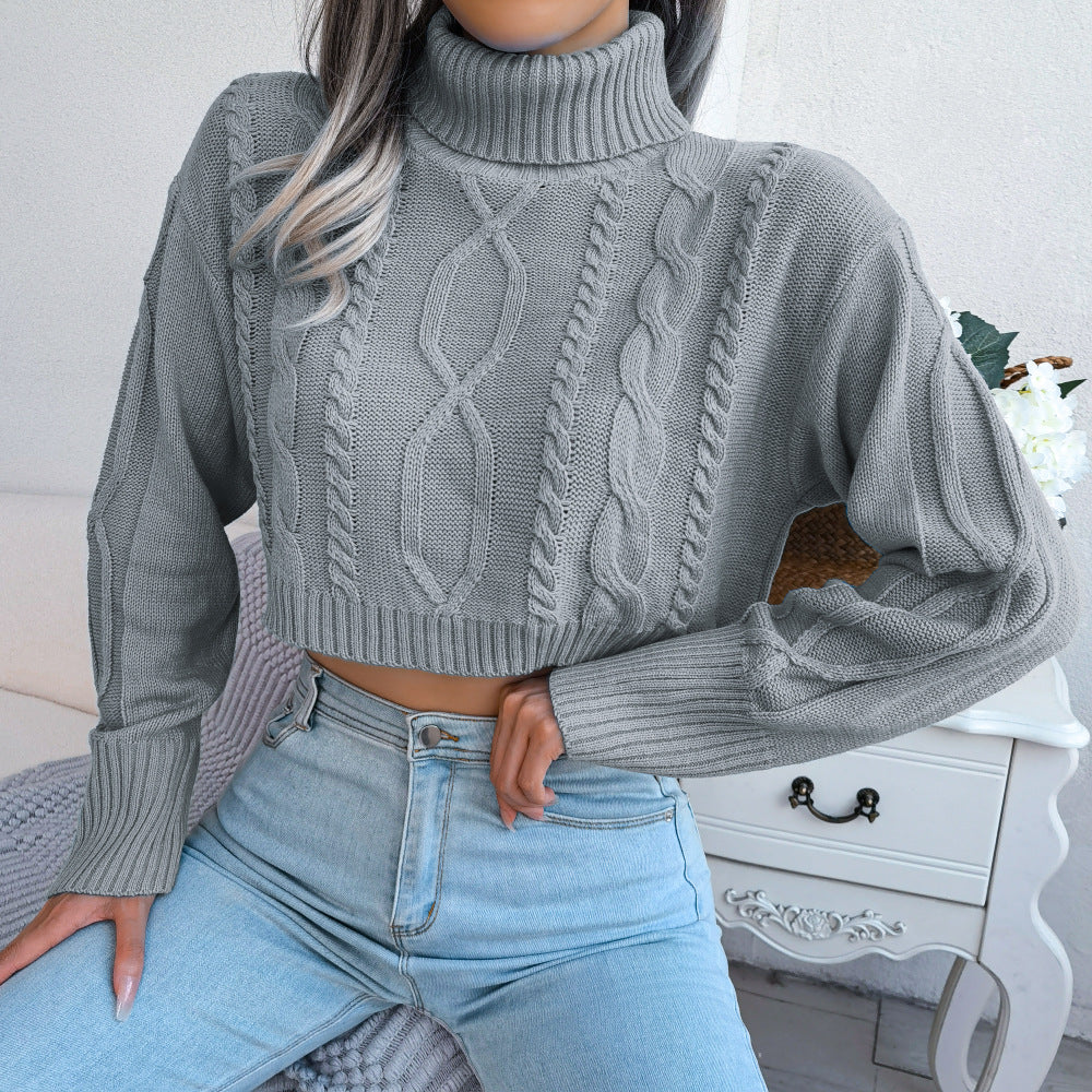 Mixed Knit Turtleneck Cropped Sweater